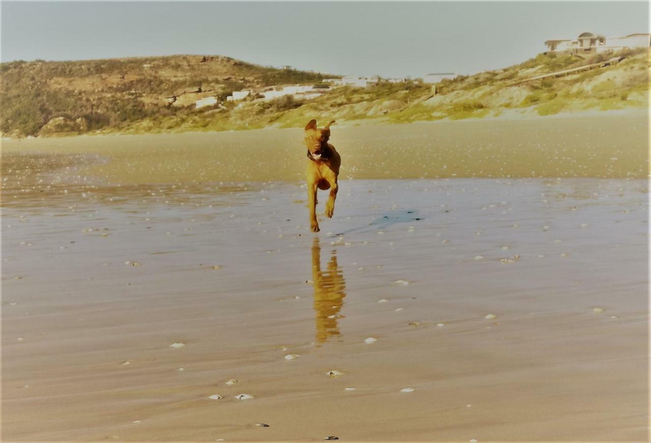 Prettinplett Διαμέρισμα Plettenberg Bay Εξωτερικό φωτογραφία